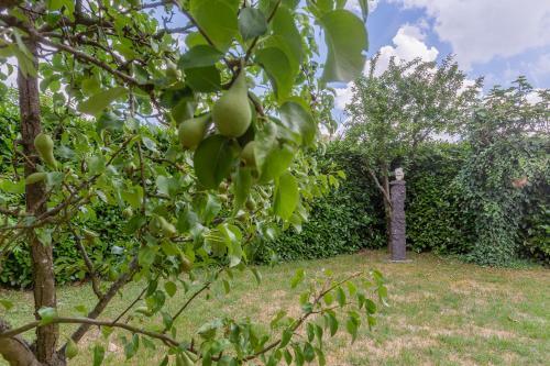 Apartamento Casolare Di Campagna Con Parcheggio E Giardino