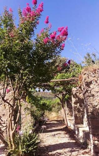 Apartment With 2 Bedrooms In Finocchito With Wifi