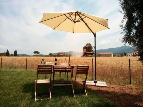 Delightful Holiday Home In Bibbona With Garden