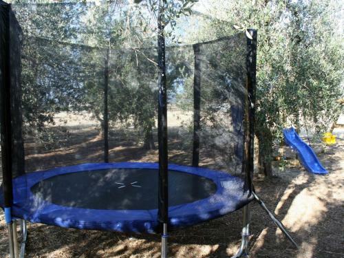Delightful Holiday Home In Bibbona With Garden