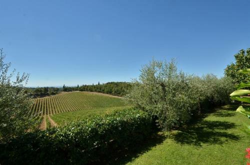 Private Chianti Villa With Private Pool, Wifi