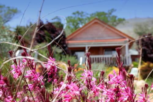 The Beautiful Cabins