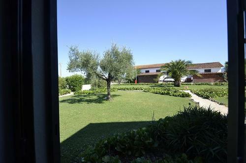 Genzano Di Roma Villa Sleeps 4 Pool Wifi
