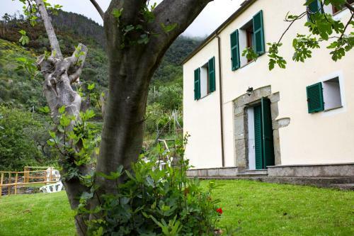 Tra Le Mura