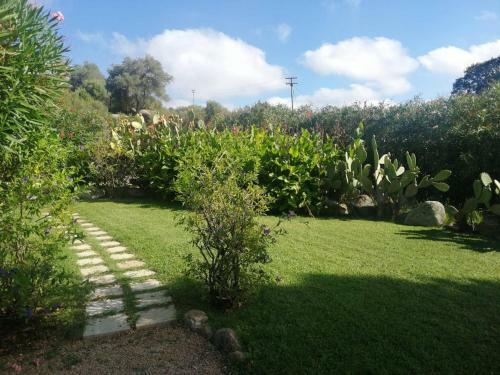 Villa Stazzo Di San Trano Surrounded By Greenery