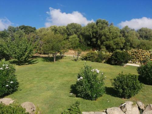 Villa Stazzo Di San Trano Surrounded By Greenery