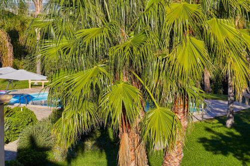Marinella Villa Sleeps 8 Pool Air Con Wifi