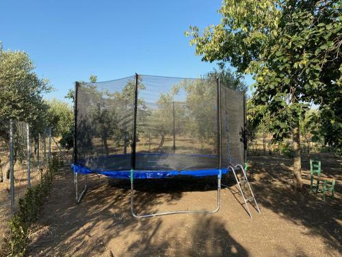 Bed & Breakfast I Gelsomini