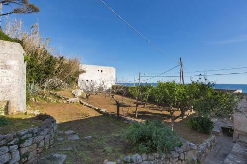 Villa Martella