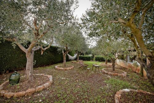 I Cinque Trulli With Swimming Pool