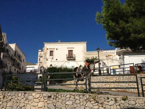 Apartamento Appartamento Oleandro