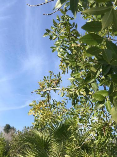 Apartamento Villa Assunta Salento