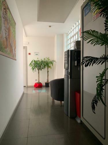 Hotel Lucania