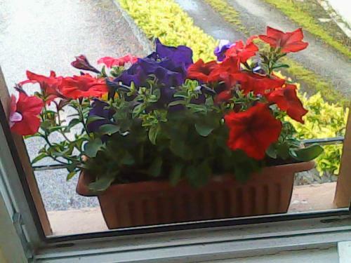 Tom And Eileen's Farmhouse B&B
