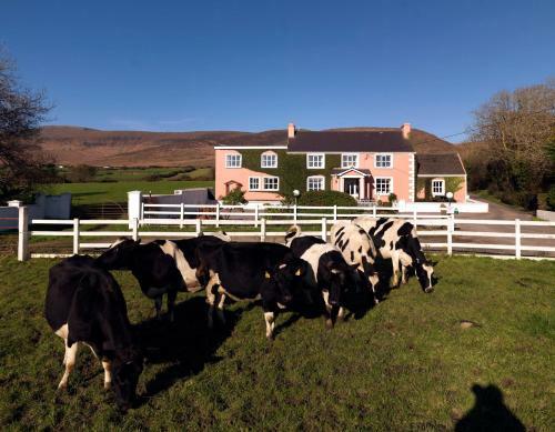 Hostal Murphys Farmhouse B&B