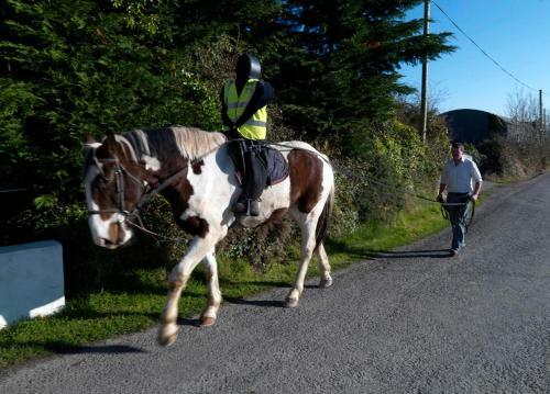 Hostal Murphys Farmhouse B&B