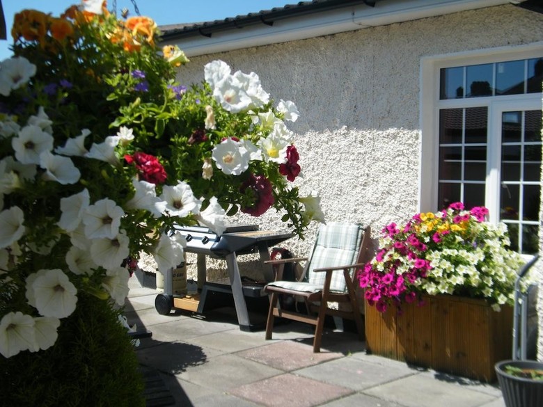 Bed & Breakfast Almanii