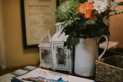 Bed & Breakfast The Royal Valentia