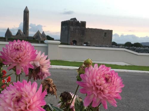 Naomh Colman B&B