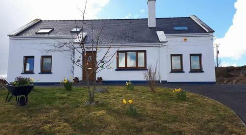 Rossroe Lodge B&B