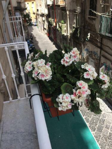 Hostal Mascalzone Latino Luxury Rooms