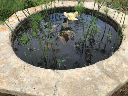 Hostal Villa Sant' Alfano
