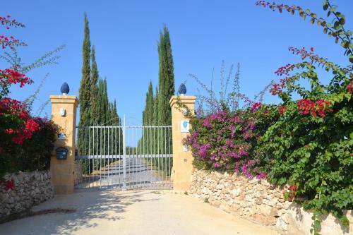 Massimo Villas - Villa Pigna Blue