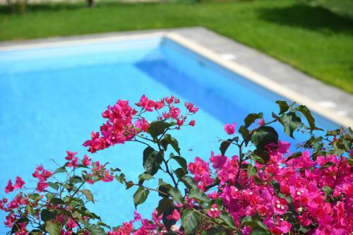 Massimo Villas - Villa Pigna Blue