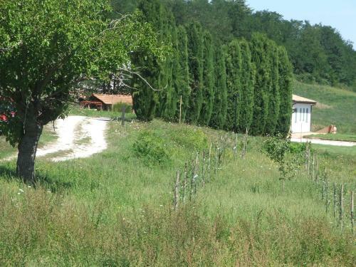 Hostal Casale Arcadia