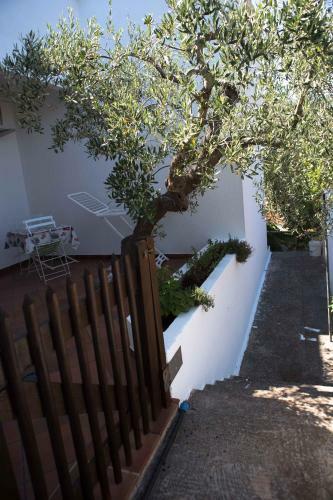 A Casa Di Giacomo