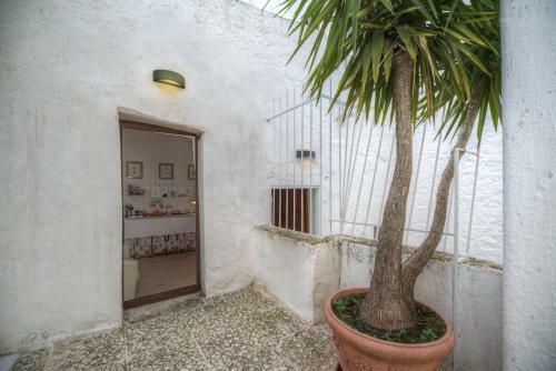 Apartamento Casuccia De Pascalina