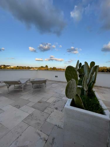 Bed & Breakfast Tenuta Ermes