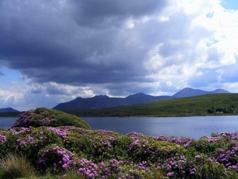 Maol Reidh Hotel