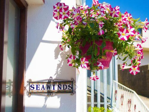 Seawinds Bed And Breakfast