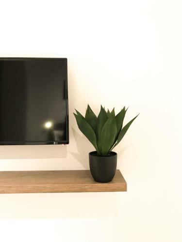 Apartamento Odra Suites