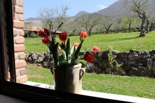 Agroturismo Agriturismo Il Castagneto
