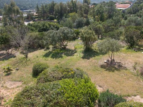 Villa Immersa Nel Verde Con Meravigliosa Vista Mare