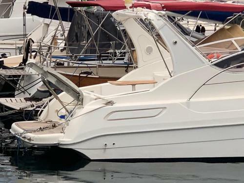 Boat & Breakfast