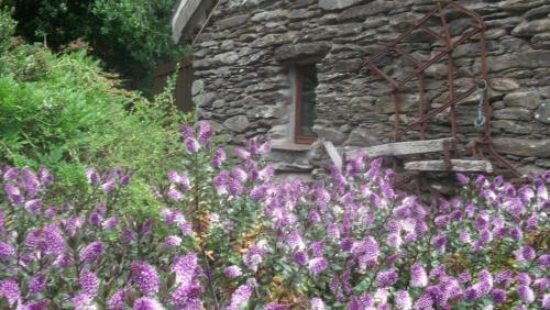 Stepping Stone Bed And Breakfast