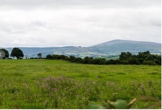 Abbeyview B&B