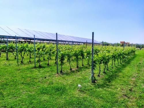 Agroturismo Agriturismo La Vite Maritata