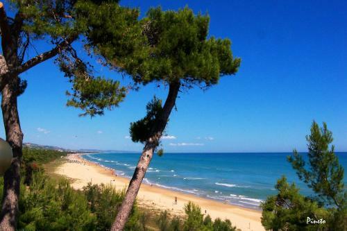 Apartamento Perla Plus Pineto Vacanza