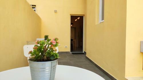 Apartamento Lo Strullo