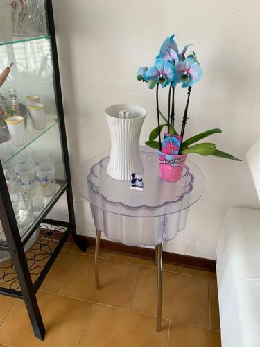Bed & Breakfast Pampero & Catona House