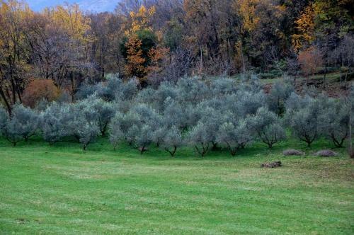 Albergue Parco Di San Floriano
