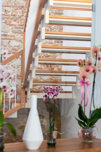 Bed & Breakfast Le Suite