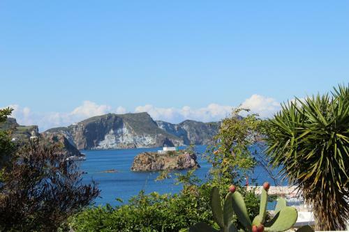 Bed & Breakfast Agenzia Isotur Villa Olimpia