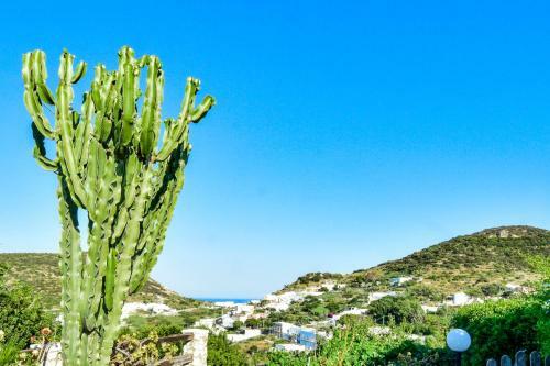 Apartamento Solemare Ponza Casa Vincenzo P.1