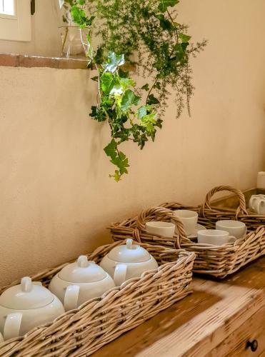 Bed & Breakfast Tenuta Santa Caterina