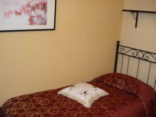 B&B 1646
